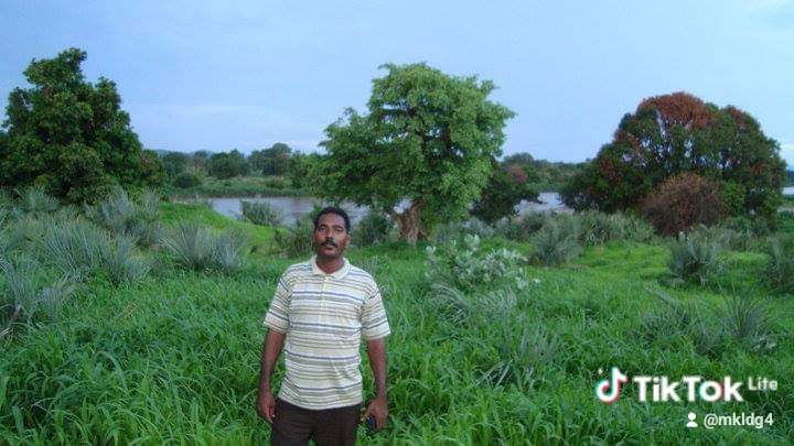 muzamil Abdalla - portfolio - 0