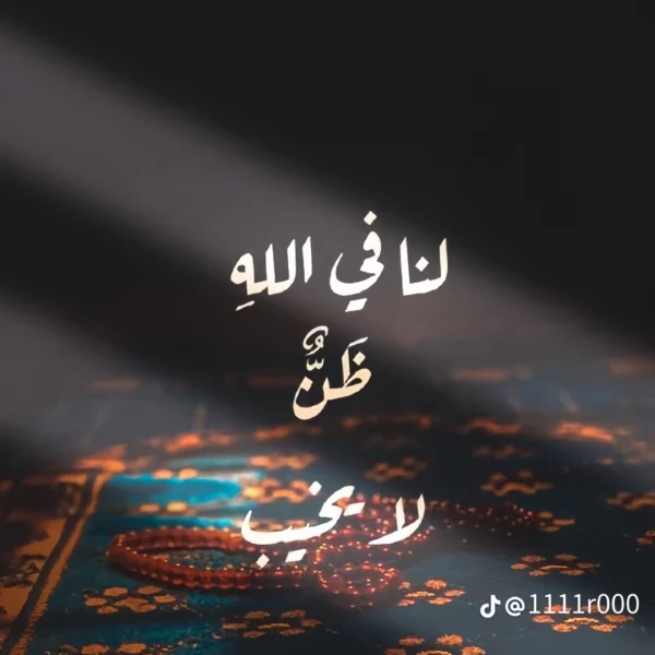 abdo abdoelshenawy