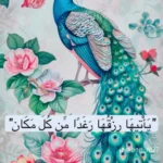 Khaldia  Bechar  - بشار, الجزائر