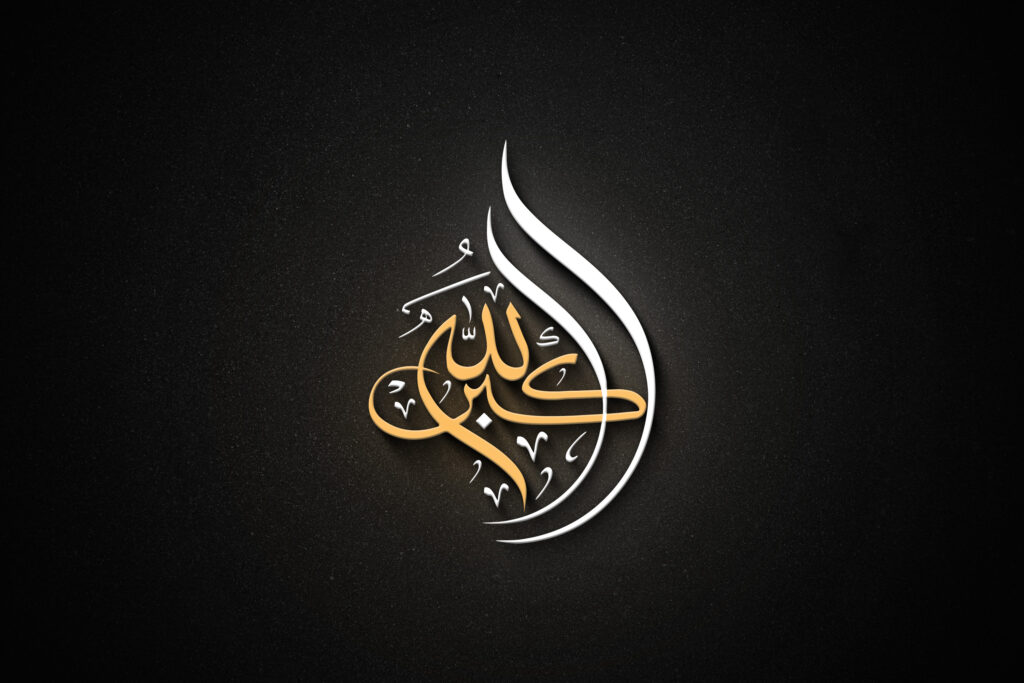 FA Hasib - portfolio - 2