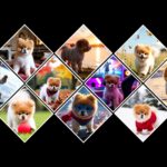 I will create AI influencer for you - Remote