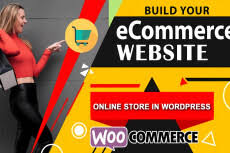 I will build ecommerce website with wordpress woocommerce - portfolio - 0