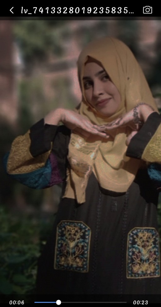 Hifza Falak