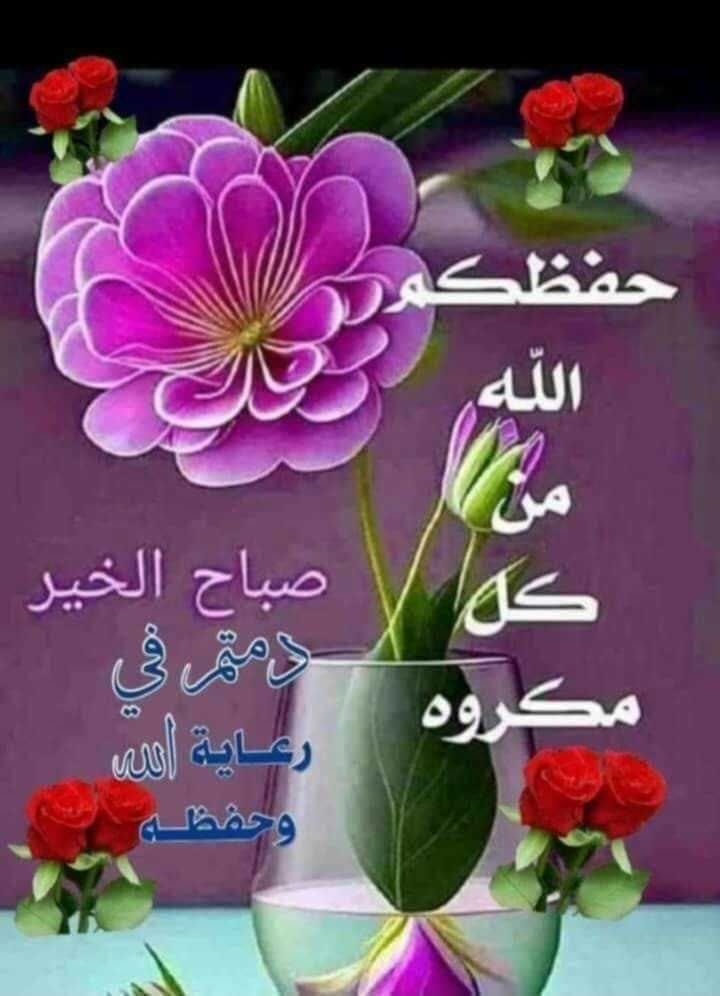 Mair Ahmed - cover