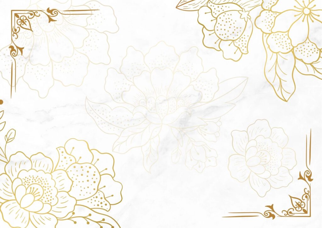 Salwa Elsayed Salwa Elsayed - portfolio - 1