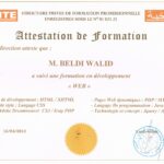 Web Developer