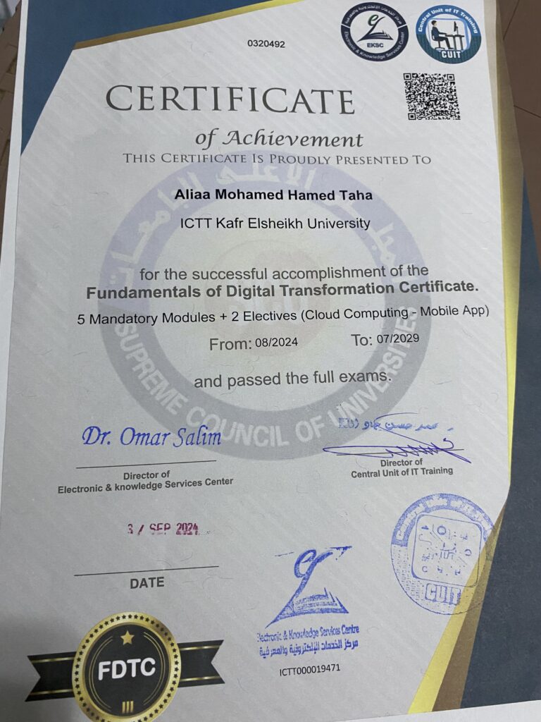 Aliaa Mohamed - portfolio - 1