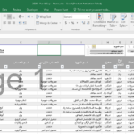 Organisez et analysez les données à l’aide d’Excel avec précision et rapidité - À distance