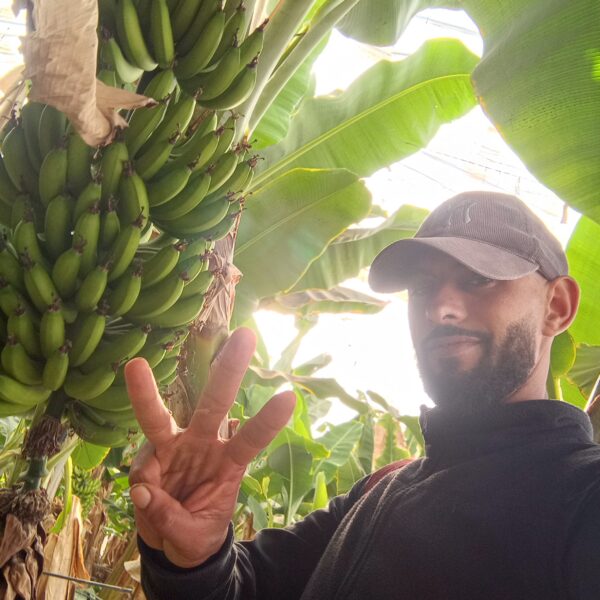 Kamal Benmsaid