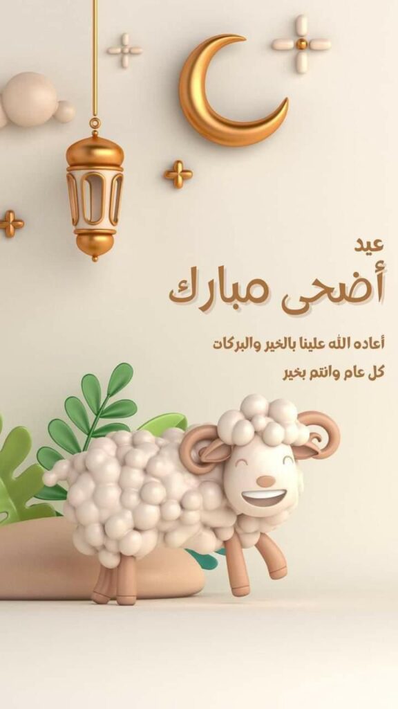مي جمال العزب  مي جمال العزب  - portfolio - 0