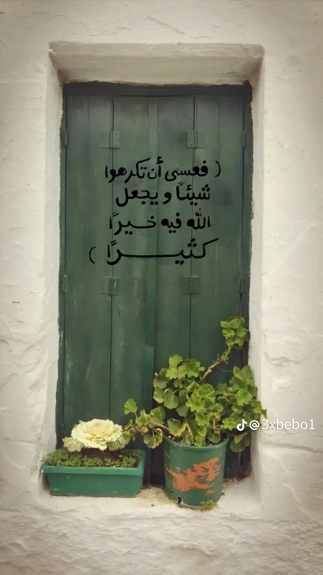 Saied Ali - cover