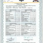 Sofware engineering