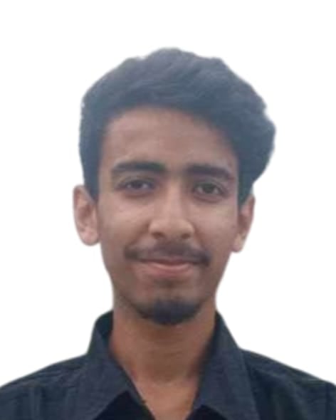 Amir Hamza