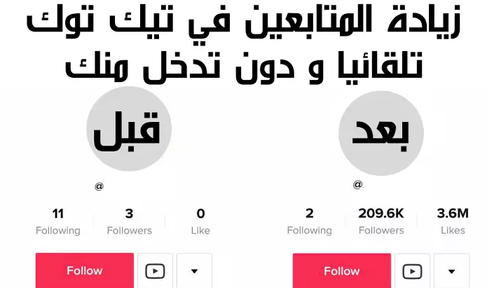 Augmenter de 10 000 abonnés Tik Tok - portfolio - 1