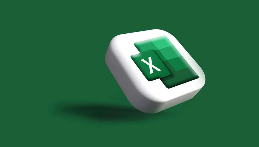Enter data on Microsoft Excel - portfolio - 2