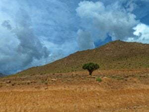 Eritrea