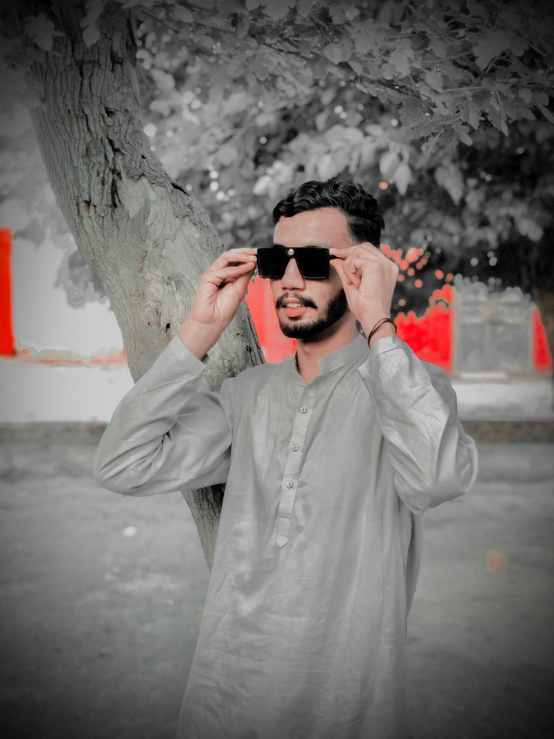Mirza Salman
