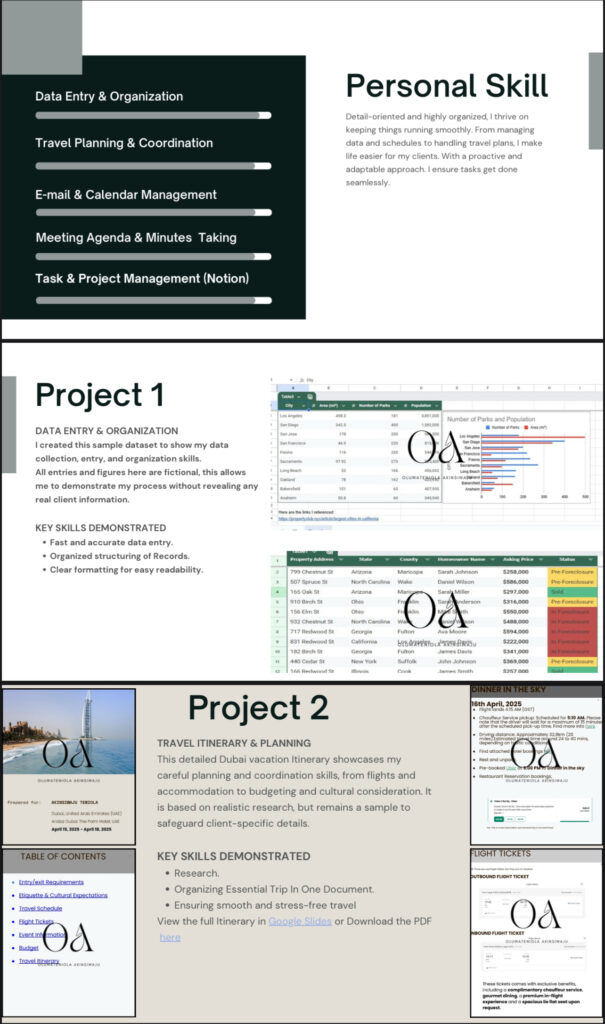 Oluwateniola  Akinsiwaju - portfolio - 1