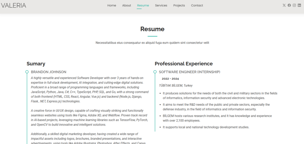 I will create your website for 1 week - portfolio - 0