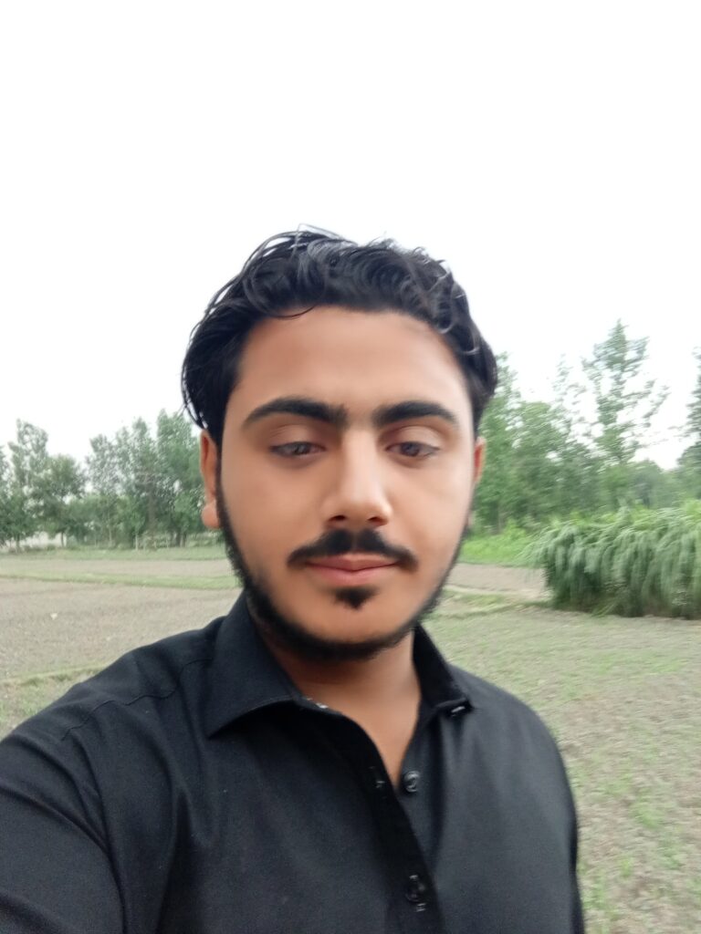Abdullah Shah - portfolio - 0