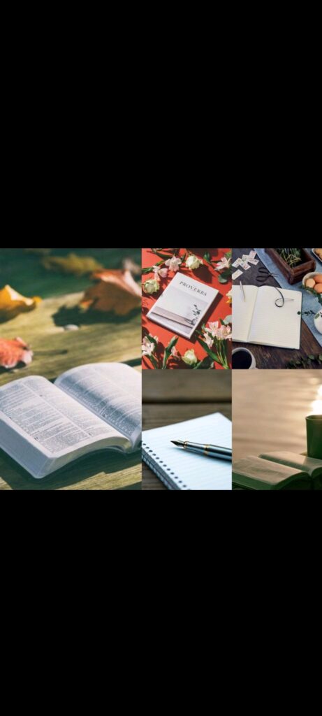 Learn Arabic from home - portfolio - 2