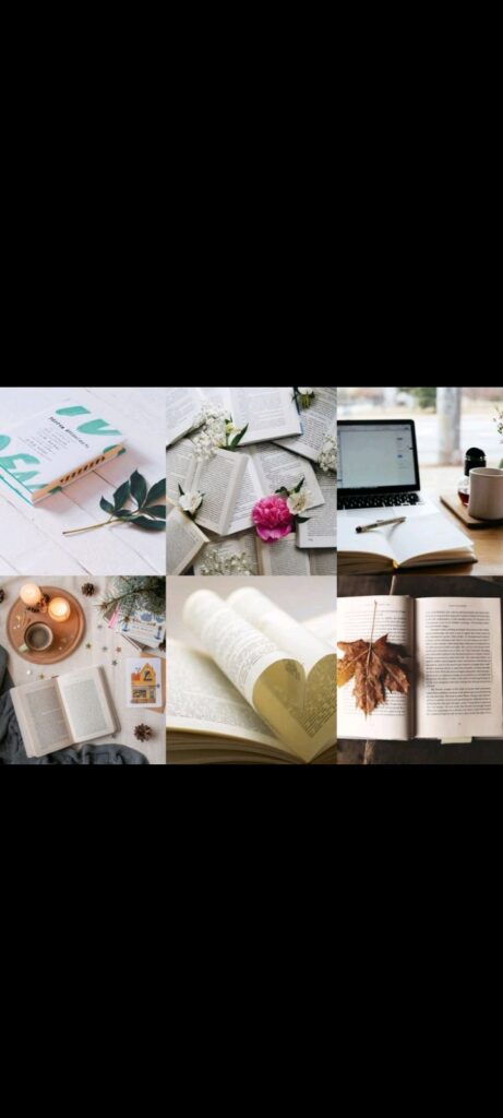 Learn Arabic from home - portfolio - 0
