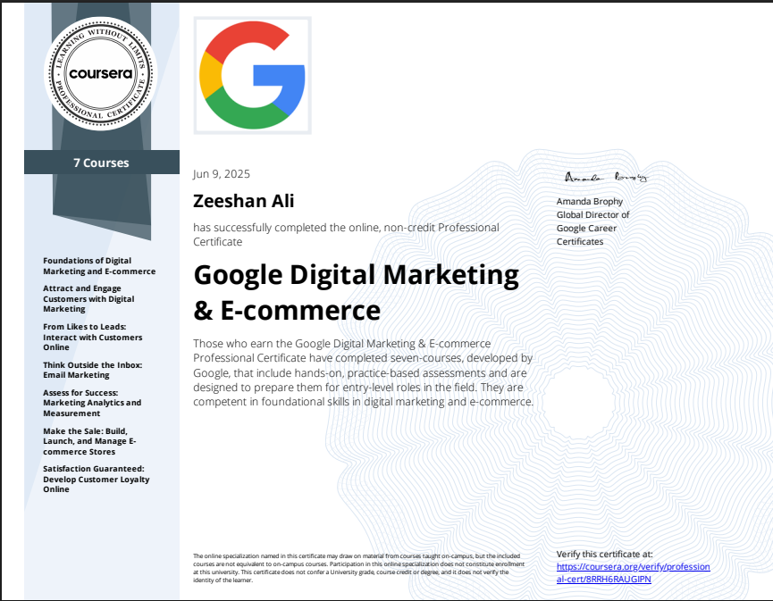 Zeeshan Ali - portfolio - 2