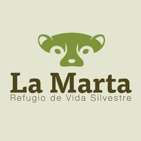 Affordable, Professional & Fast Logo Design - portfolio - 2
