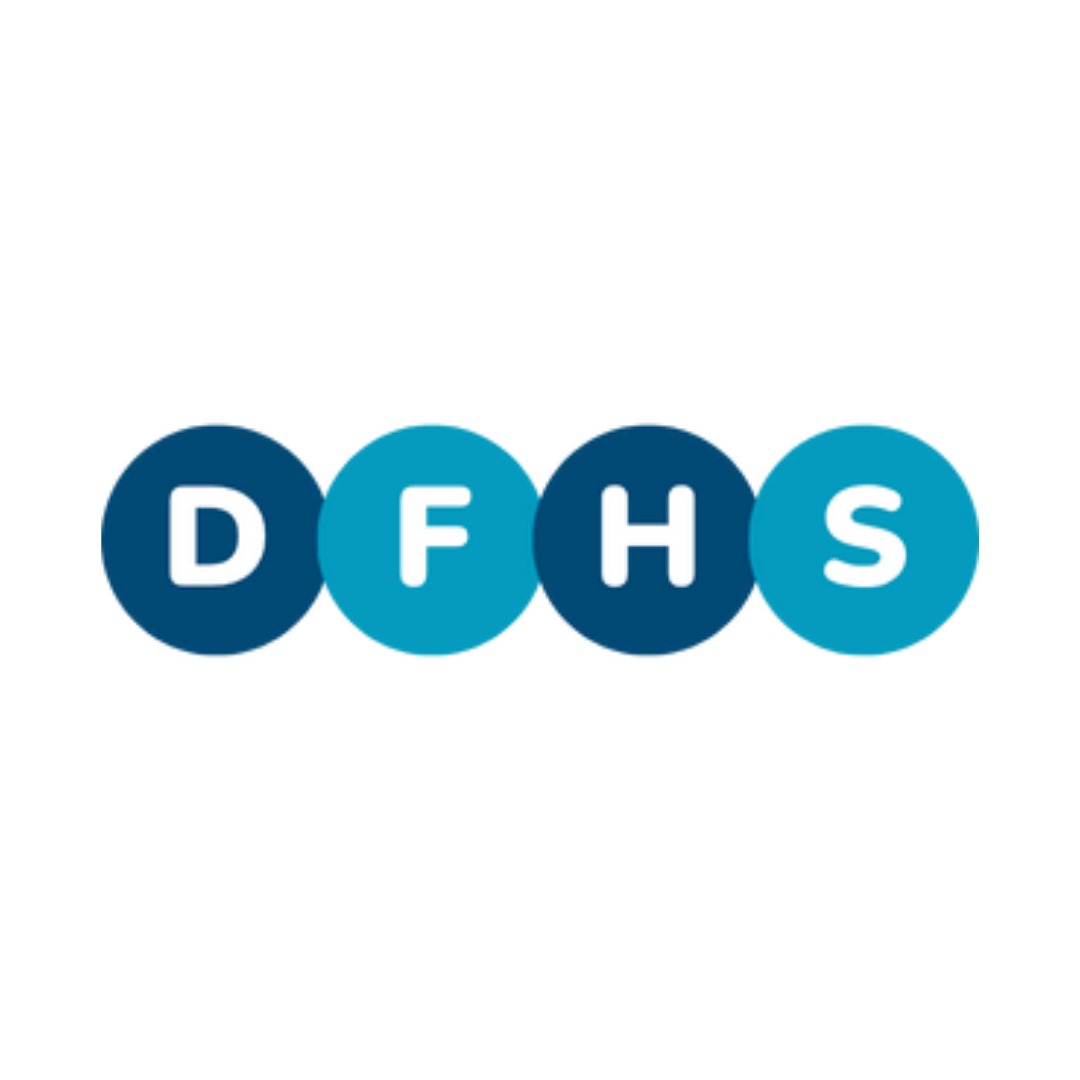 Digital Fly High Solutions - cover