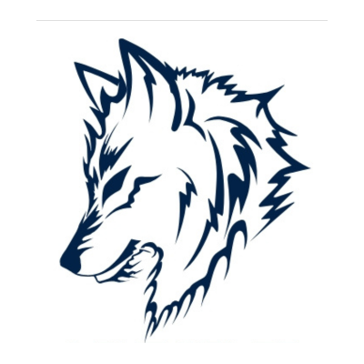 Lone Wolfs - portfolio - 0