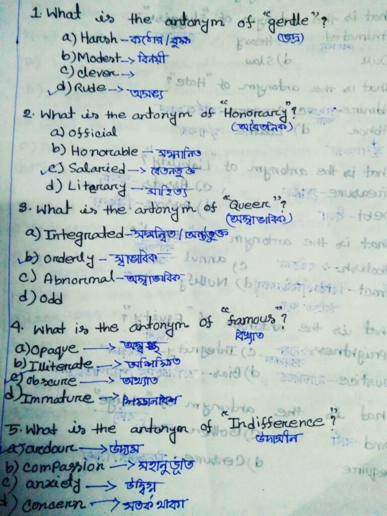 « Je rédigerai pour vous des notes manuscrites, des devoirs ou des documents soignés et élégants » - portfolio - 0