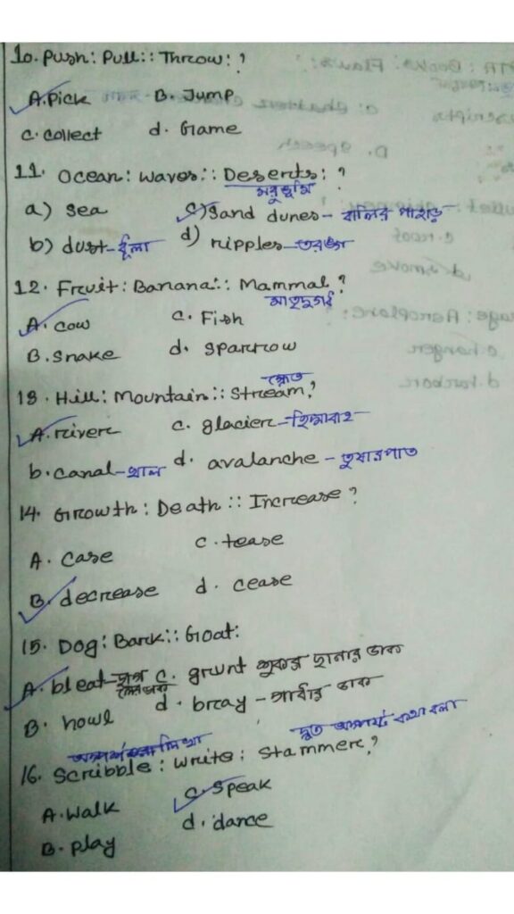 Ankita Bhattacharjee - portfolio - 2
