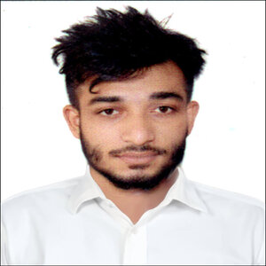 Md Ahsanul Haque Hridoy