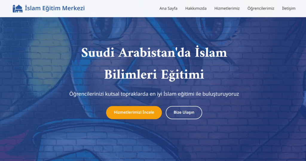 Elcan Allahverdizade - portfolio - 0