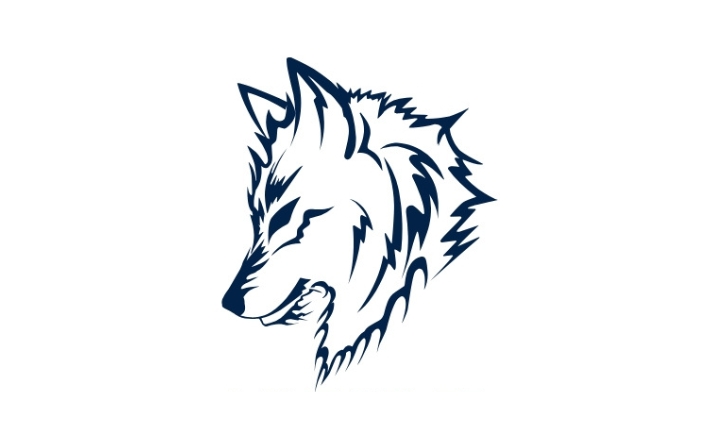 Lone Wolfs - cover