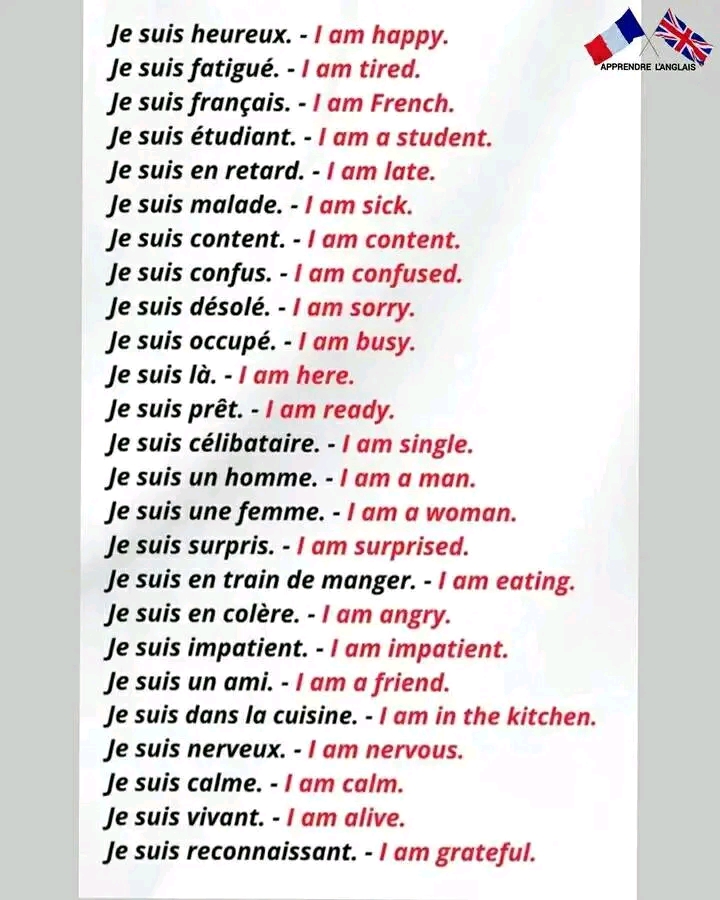 I am a translator of your text or expressions in trilingual (English, French, Malagasy)  - portfolio - 2