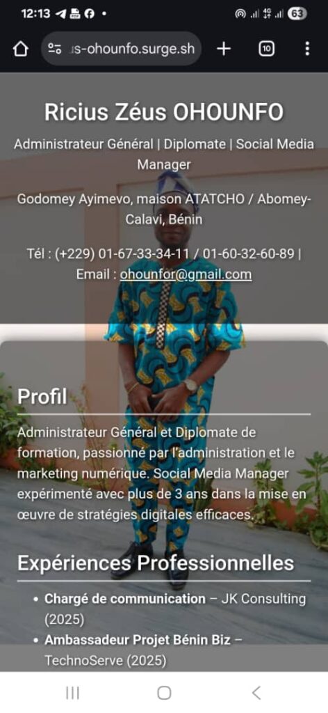 Blogs, portfolios et applications Web personnalisées – Blogs réactifs, portfolios personnels et applications Web personnalisées. - portfolio - 1