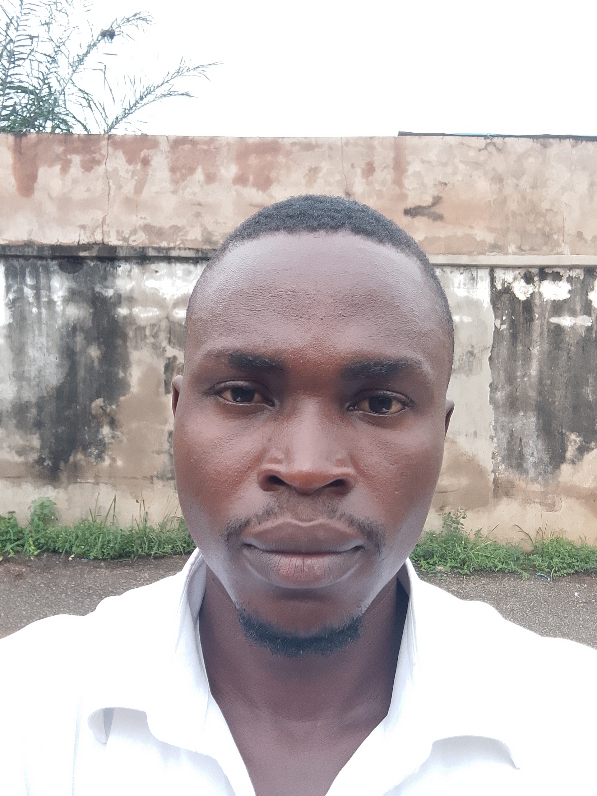 Joseph Ayo