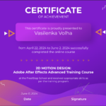 CERTIFICATE OF ACHIEVEMENT