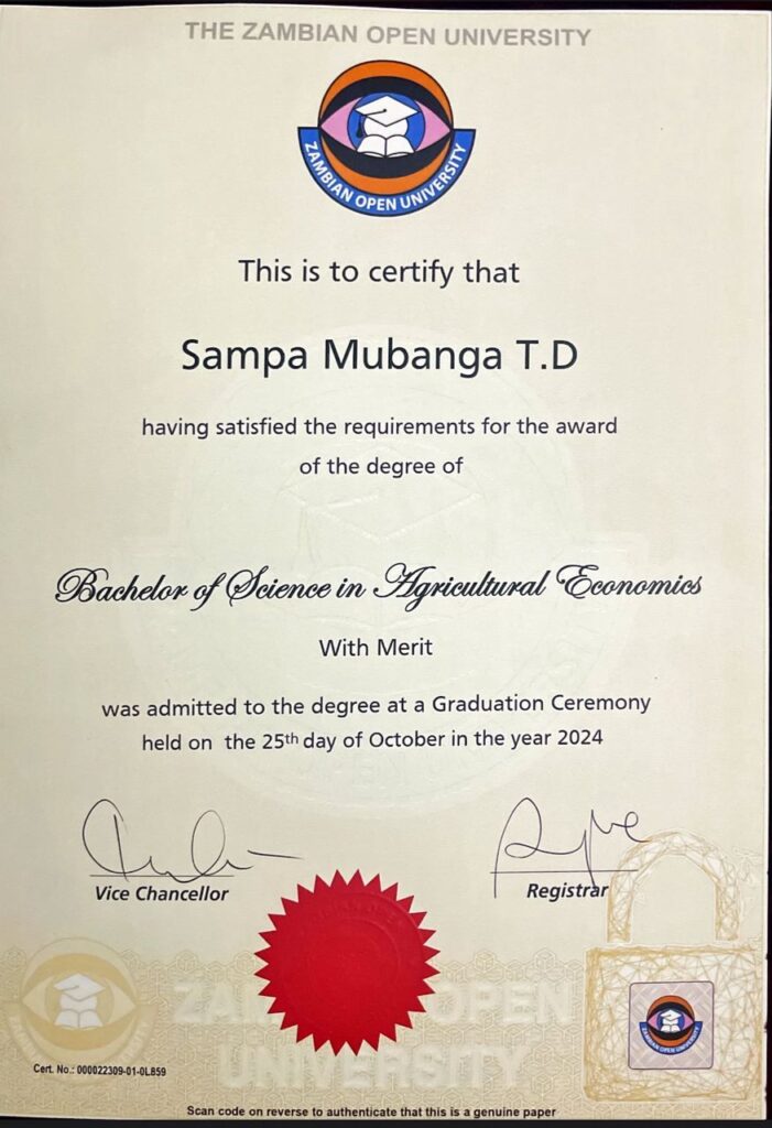 Mubanga Tina Dorothy Nkhuwa - portfolio - 1