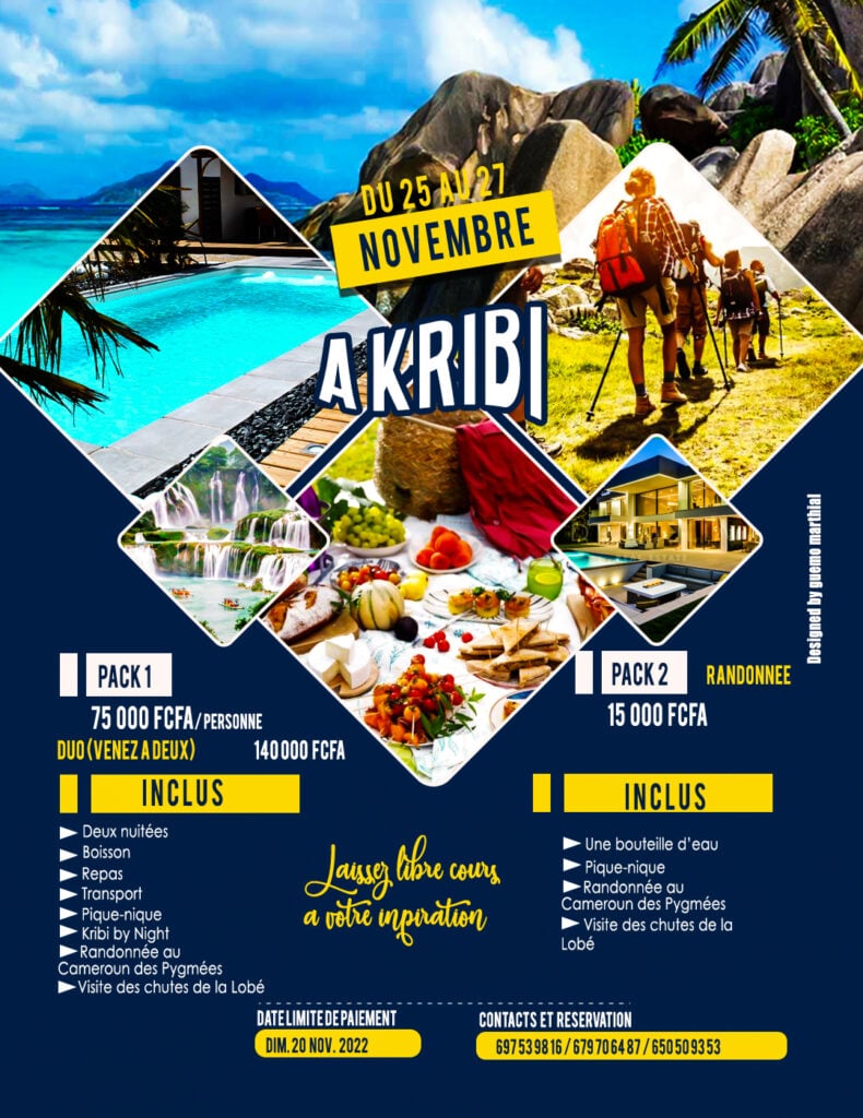 I create your visuals, posters, logos, business cards, input and formatting, etc. - portfolio - 1