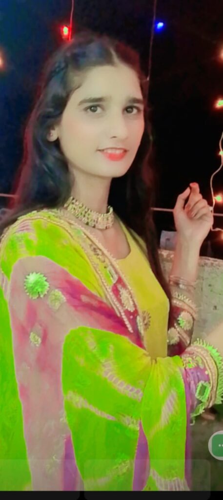 Sarwat  Nida  - portfolio - 0