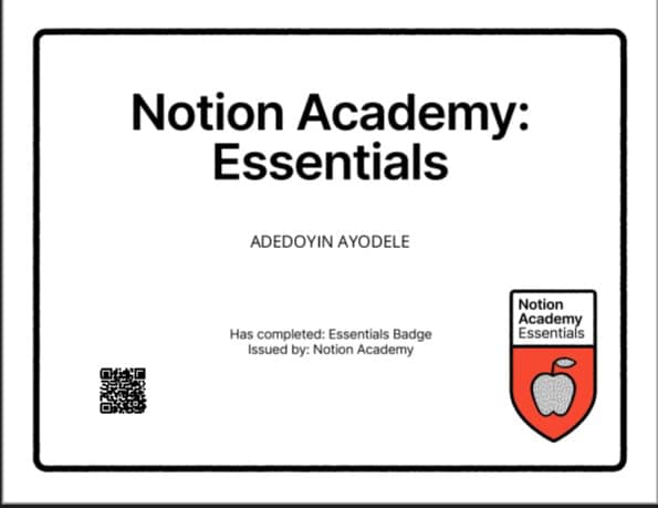 Adedoyin Adesina - portfolio - 1