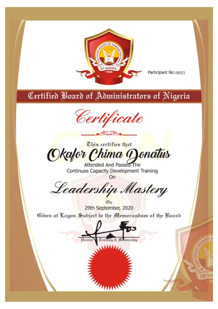 Chima Okafor - portfolio - 1