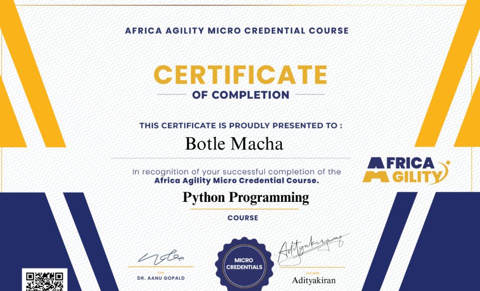 Botle Macha - portfolio - 2