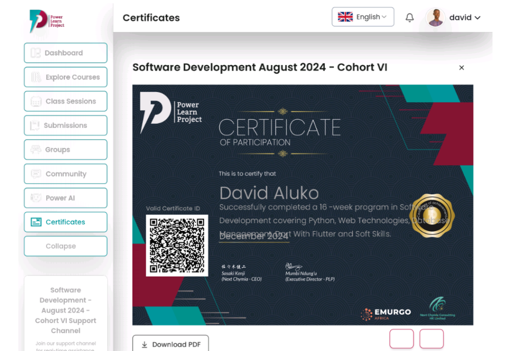 Aluko David - portfolio - 0