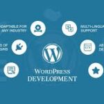 i Will provide work in wordpress development Plugins & Themes development