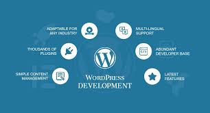i Will provide work in wordpress development Plugins & Themes development - portfolio - 0