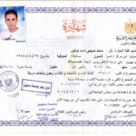 Bachelor of Commerce