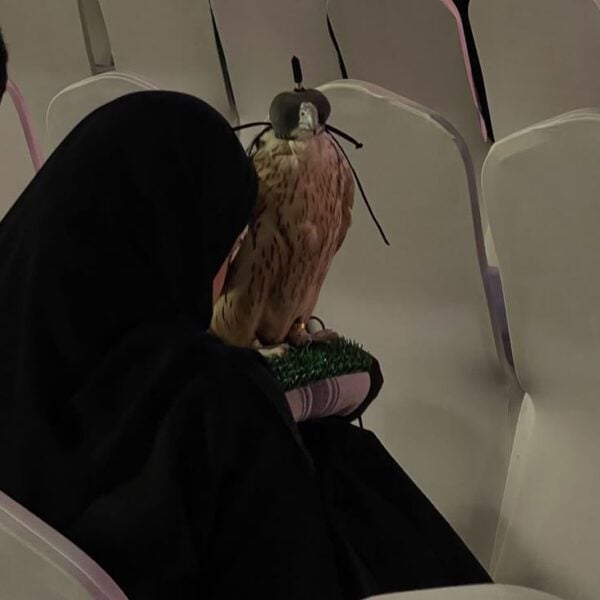 Siham Mohammed Al , Hammoudi